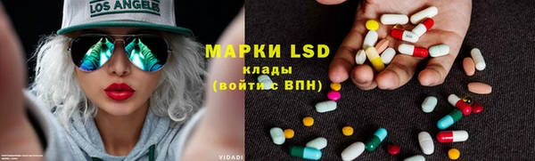 сатива Баксан