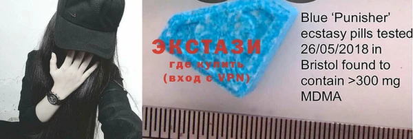 гидра Богородицк