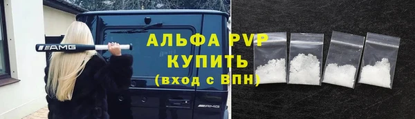 дмт Белокуриха