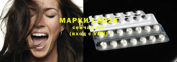 гидра Богородицк
