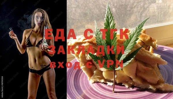 гидра Богородицк