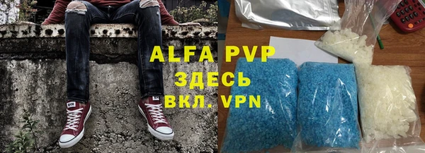 гидра Богородицк