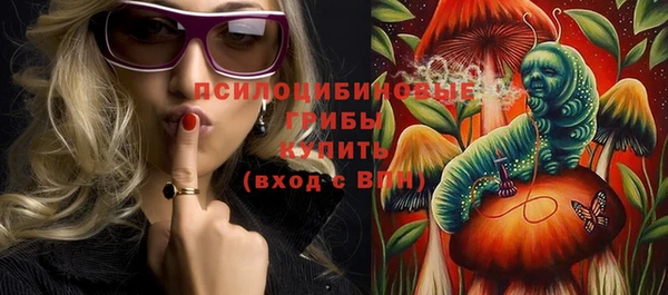 дмт Белокуриха