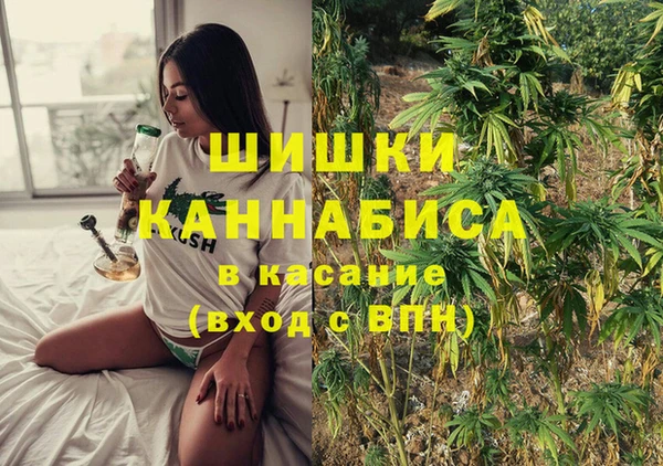 гидра Богородицк
