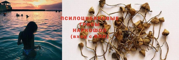 ALPHA PVP Белоозёрский