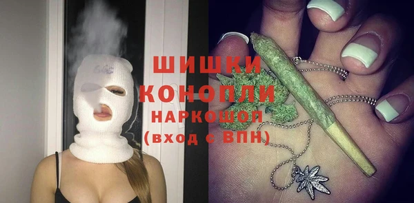 гидра Богородицк
