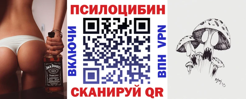 хочу наркоту  Магас  mega сайт  Псилоцибиновые грибы MAGIC MUSHROOMS 